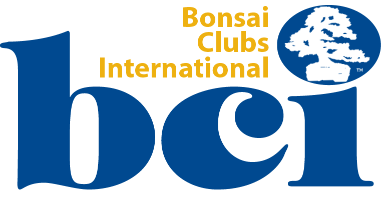 Bonsai Clubs International